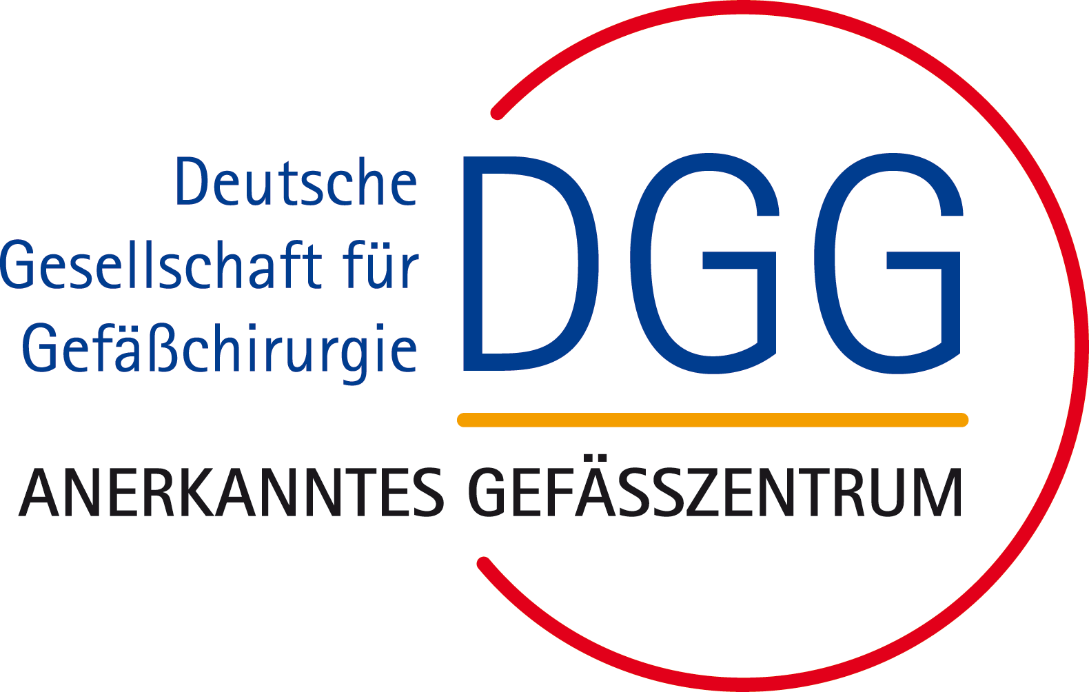 Logo Zertifizierung Logo der DGG Anerkanntes Gefäßzentrum am EKBK Halle